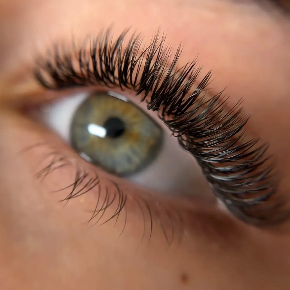 Lash lift vs Lash extensions Michelle Lashes Brows Beauty