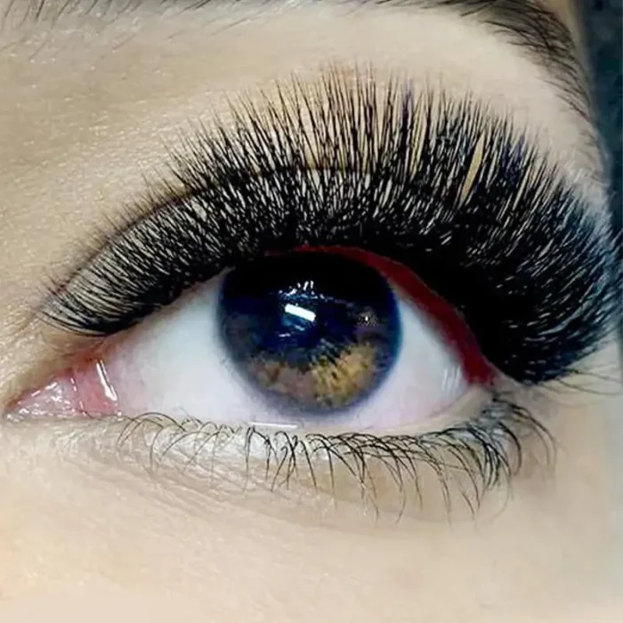 lashes